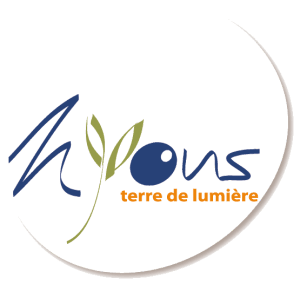 logo nyons transparent